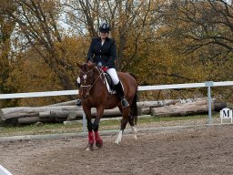 IMG_0378-135_web